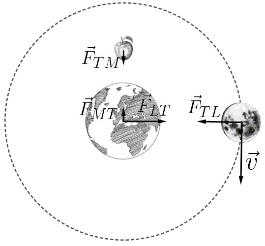 A lua e uma ma&ccedil;a caindo por for&ccedil;a gravitacional na Terra